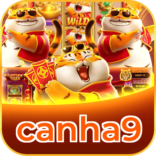 canha9 logo